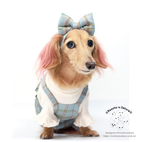 画像14: カントリーキャミパンツ＆スカート (14)