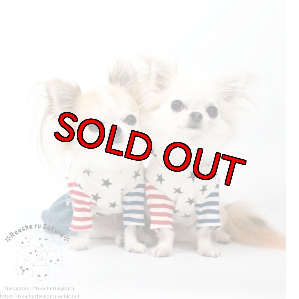 画像3: ボーンペアルック (3)