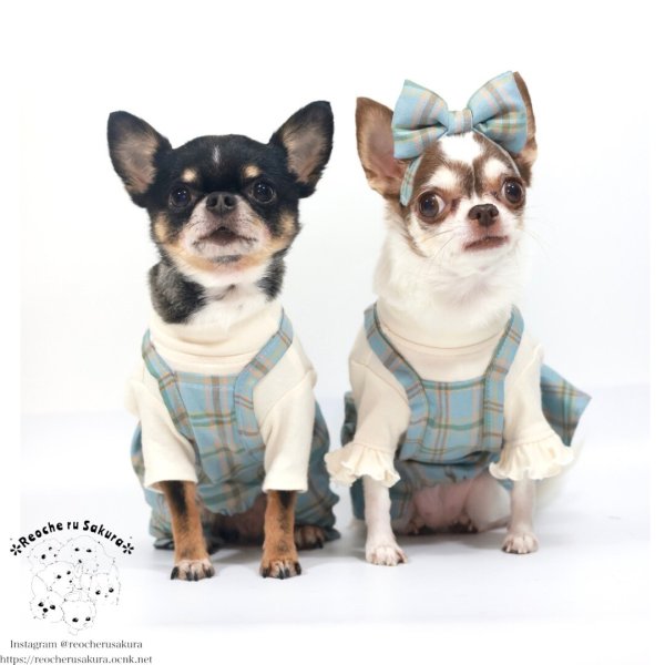 画像11: カントリーキャミパンツ＆スカート (11)