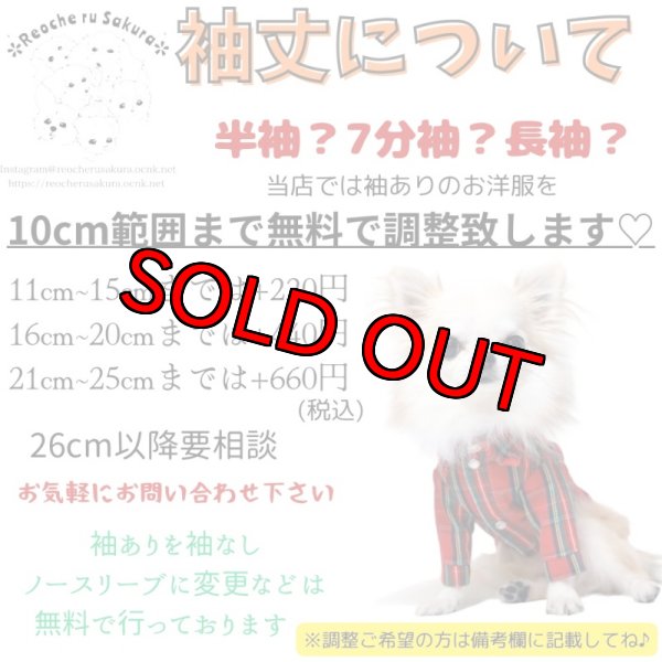 画像14: フリルニットハイネックTシャツ (14)