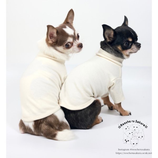 画像9: シンプルハイネックTシャツ (9)