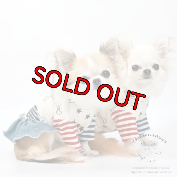 画像5: ボーンペアルック (5)