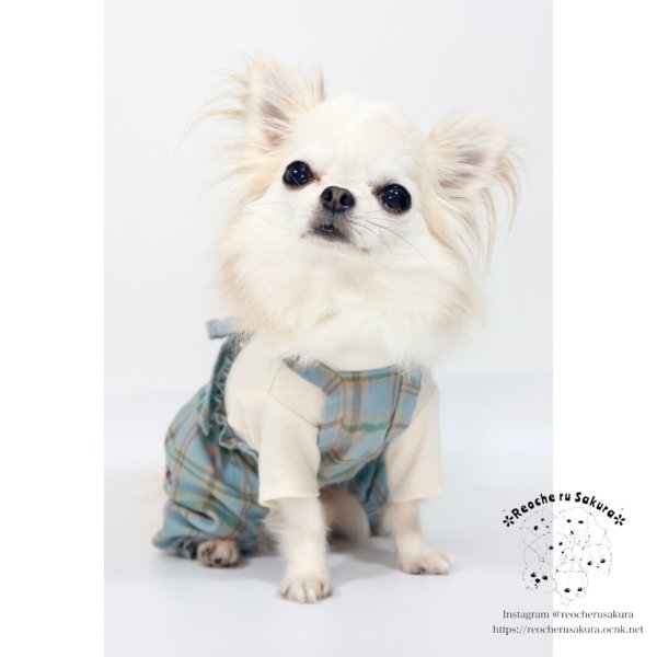 画像12: カントリーキャミパンツ＆スカート (12)