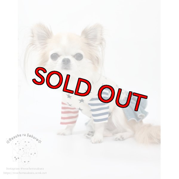 画像8: ボーンペアルック (8)