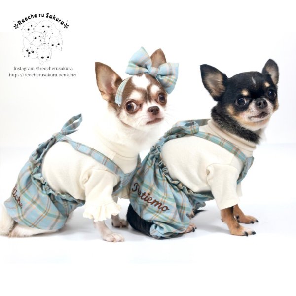 画像13: カントリーキャミパンツ＆スカート (13)