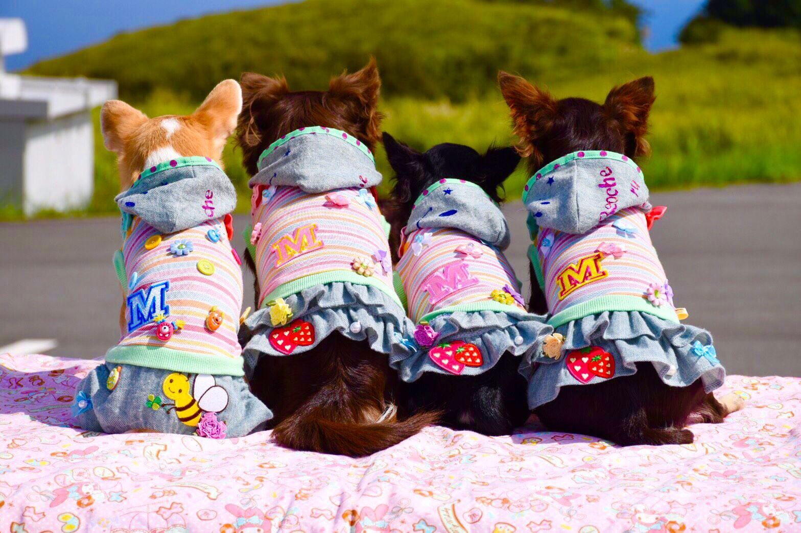 Reoche ru sakura DOGWEAR オンラインショップ オーダーメイド犬服 通販